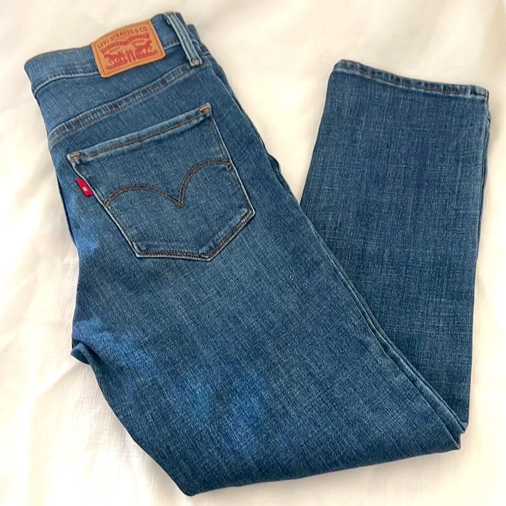 Levi’s~Shaping Skinny / 311